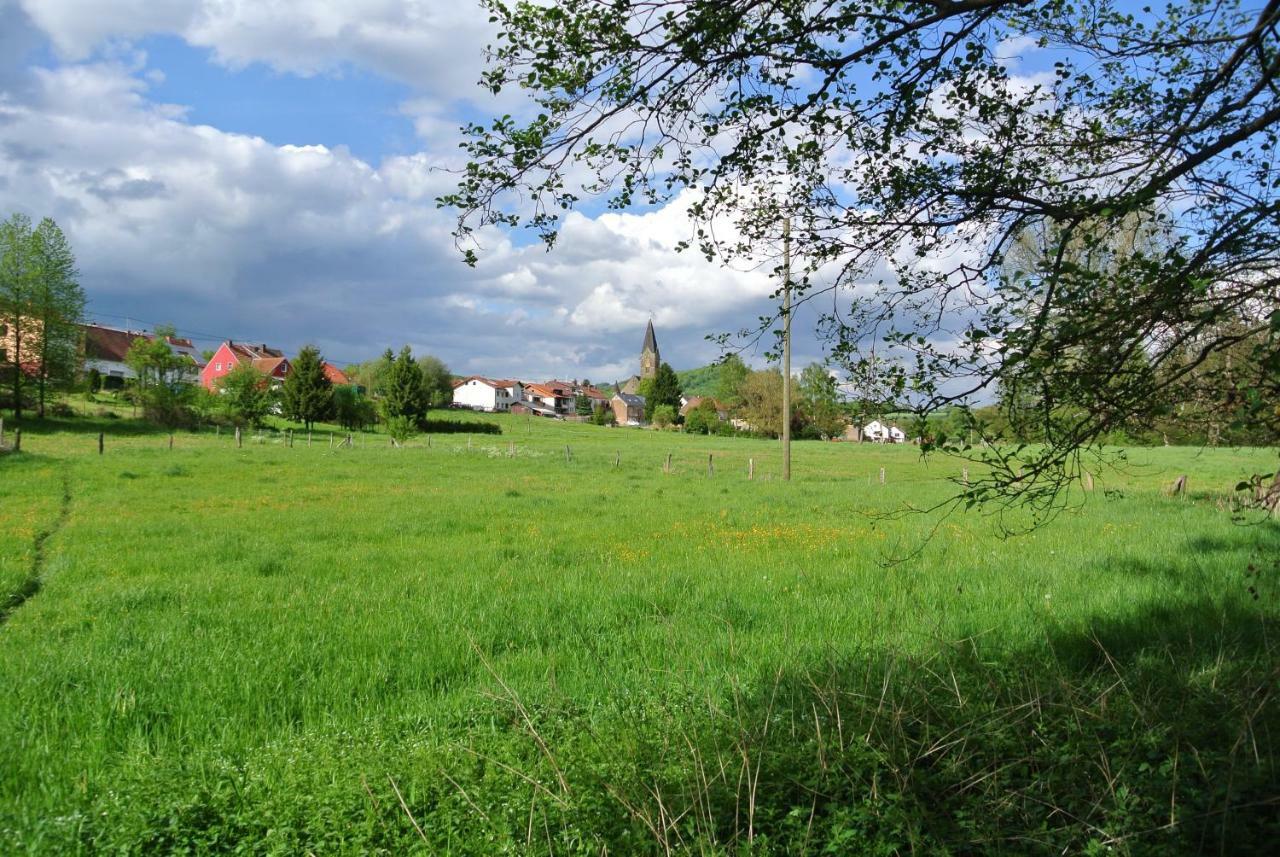 Ferienwohnung Zur Muehle Sotzweiler Exterior photo